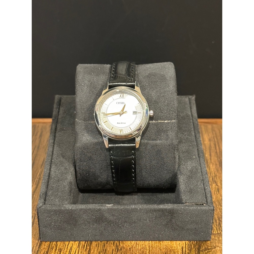 Citizen Eco-Drive Watch Silver Dial Black Leather Strap E011-S063272 Mens